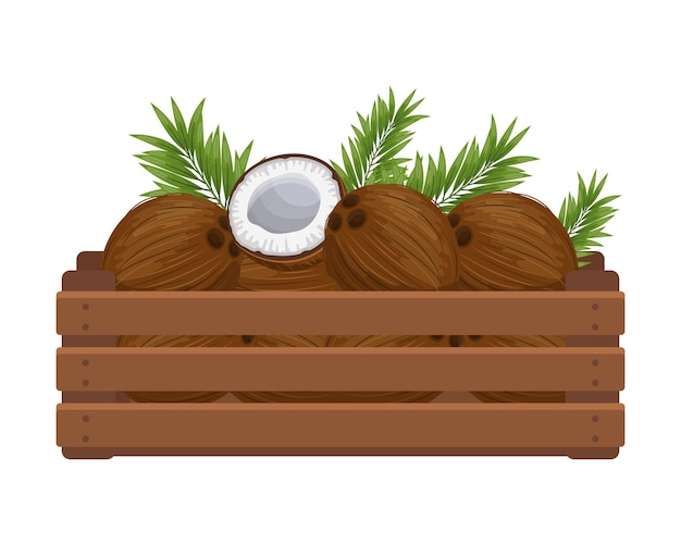 Wooden box with tropical coconuts Healthy food fruits agriculture illustration vector