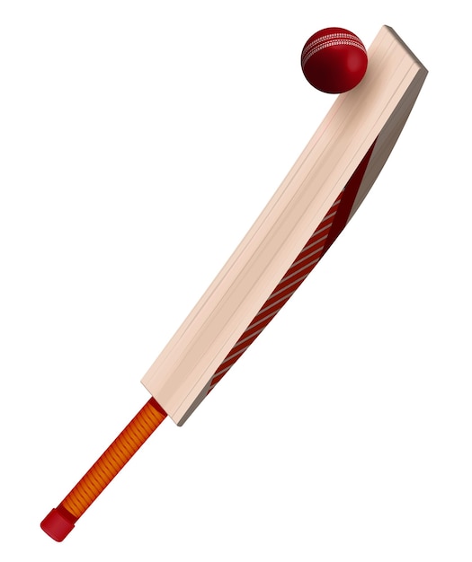 Vector wooden cricket bat hits red leather ball in realistic style on white background summer team sports vector on white background