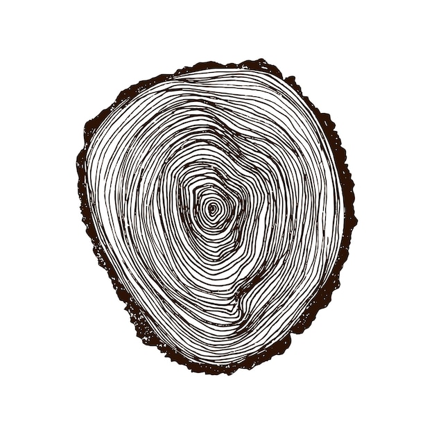 Wooden cross section Vector wood texture wavy ring pattern of a slice of wood