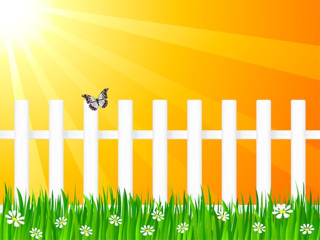 Wooden fence and butterfly 4