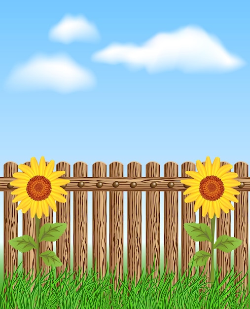 Wooden fence on grass with sunflower against the sky and clouds