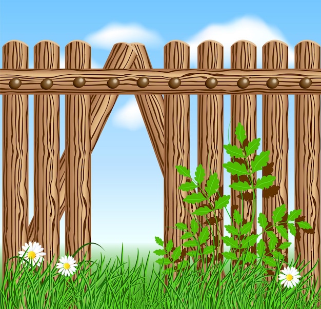 Vector wooden fence on green grass with daisy against the sky