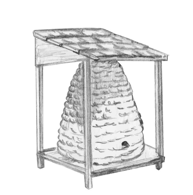 Vector wooden hives hand drawn sketch beekeeping honey bees