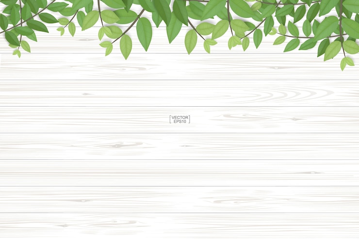 Vector 木の板の質感と緑の葉