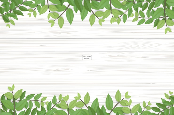 Vector 木の板の質感と緑の葉
