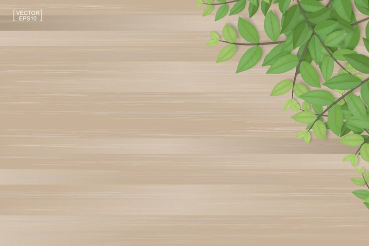 Vector 木の板の質感と緑の葉