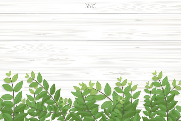 Vector wooden plank texture and green leaves