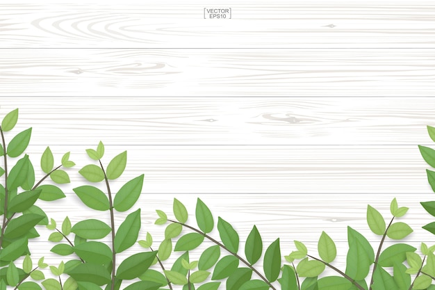 Vector wooden plank texture and green leaves