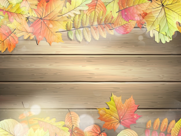 wooden planks with autumn leaves. 