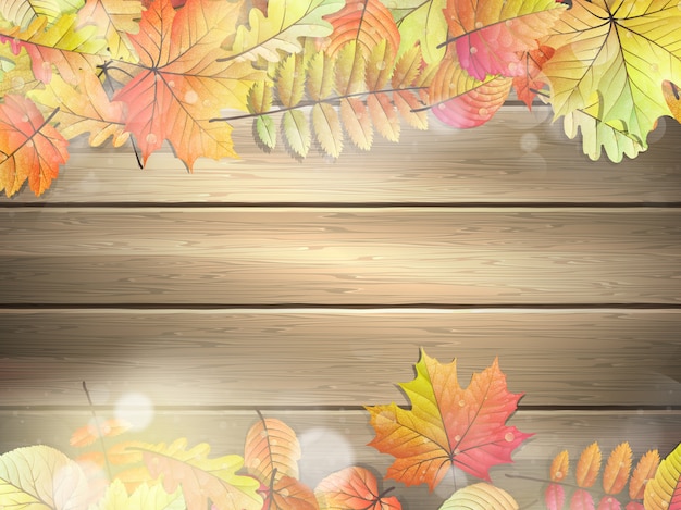 Wooden planks with autumn leaves. 