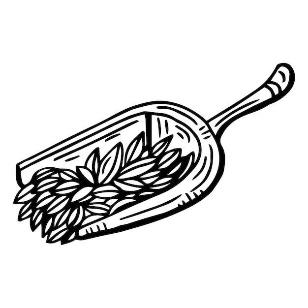 Wooden scoop. Wooden scoop with oat grains. Sketchy hand-drawn vector illustration.