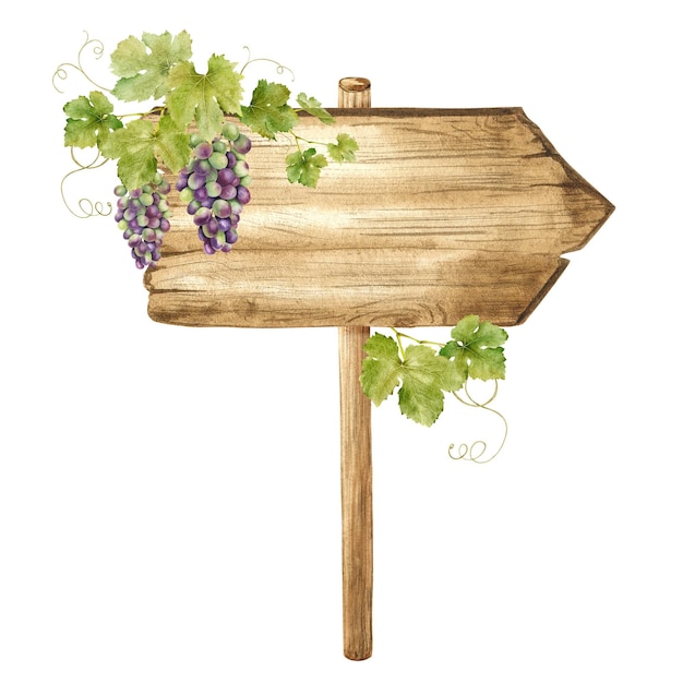 Vector wooden signboards for grape plantations vineyards wood board with bunches of grapes