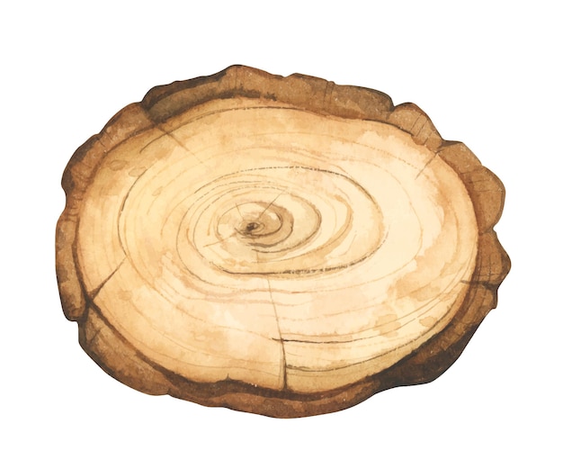 Vettore illustrazione di una fetta di legno cartello in legno sezione trasversale del tronco d'albero stile acquerello