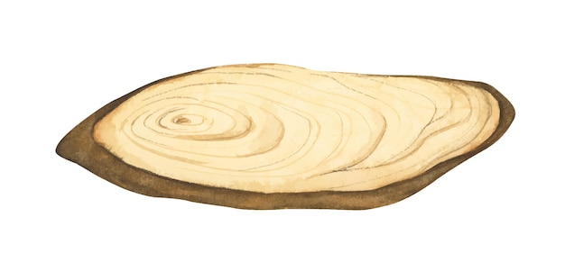 Illustrazione di una fetta di legno cartello in legno sezione trasversale del tronco d'albero stile acquerello