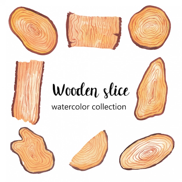 wooden slice watercolor illustration