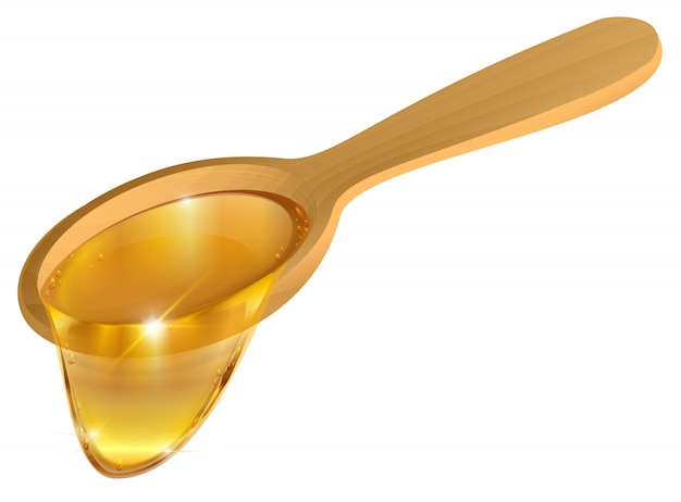 Vettore cucchiaio di legno con miele