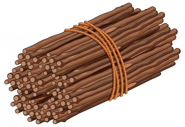 Vector wooden stick in one bunch