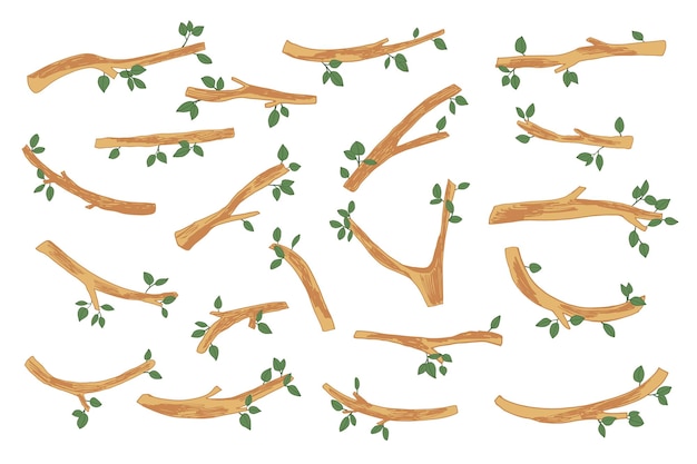 Vector wooden sticks with leaves trees branches vector illustrations set