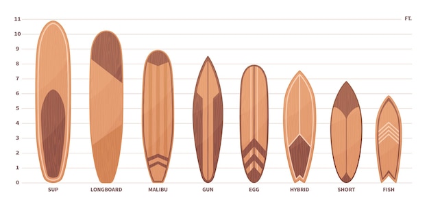 Vector wooden surfboard types different boards kinds sup longboard and hybrid wave catchers ocean and sea summer sport lifestyle dimensional grid front view elements nowaday vector set