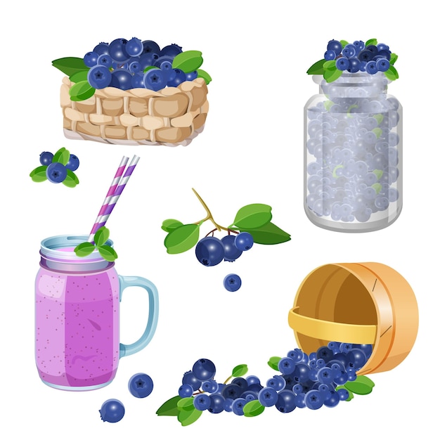 Vector wooden whicker baskets with blueberries, billberry smoozie in glass cup, berries in jar realistic vector illustration set isolated on white background