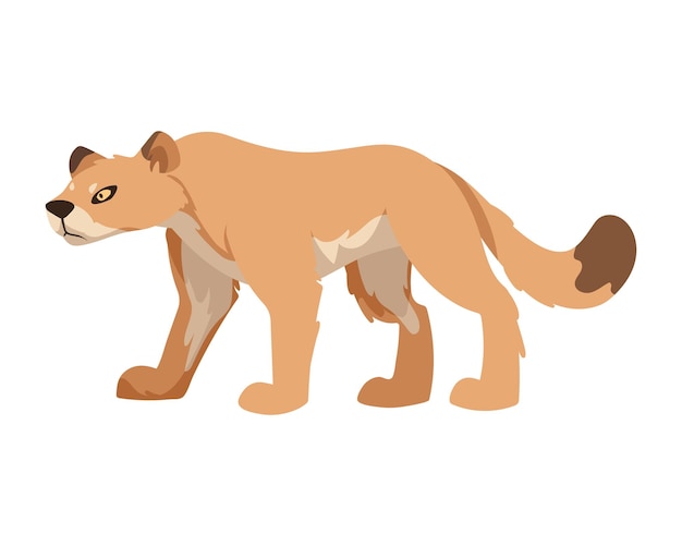 Vector woodland animal cougar illustration design