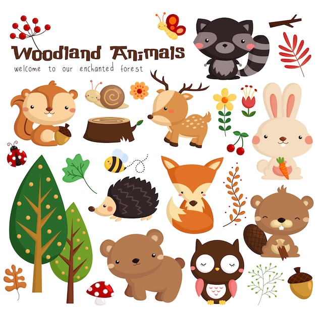 Vector woodland animal