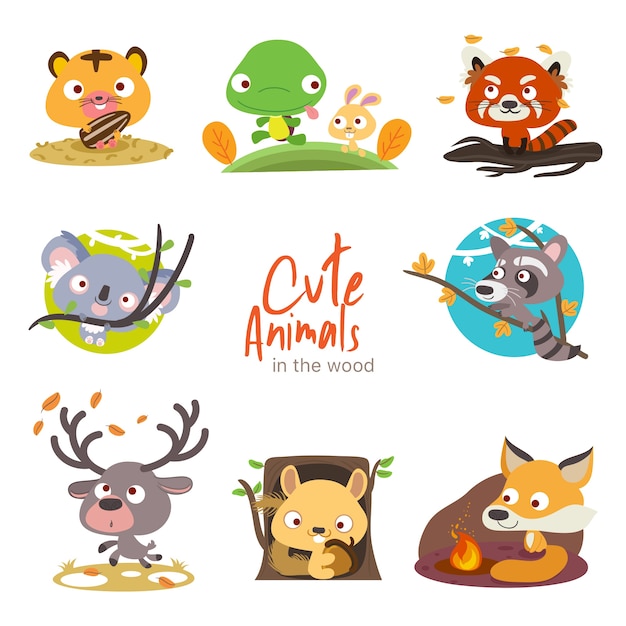 Woodland cute animals