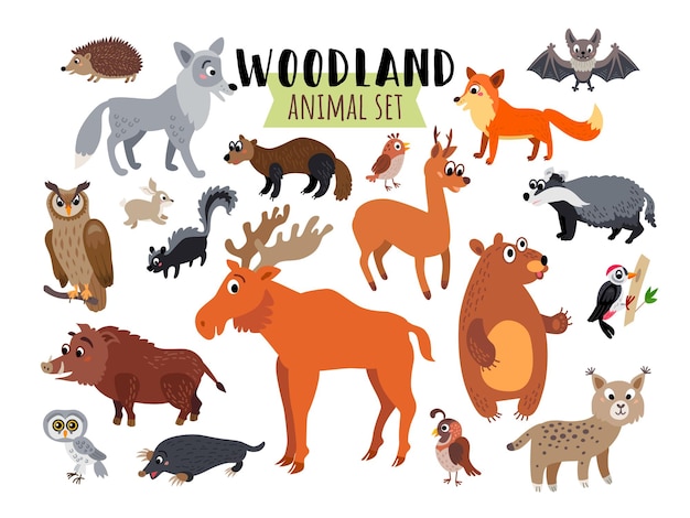 Vector woodland forest animals set isolated on white