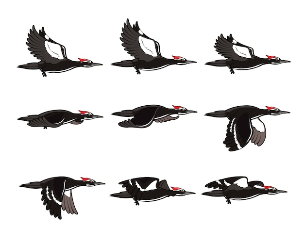 Woodpecker cartoon flying animation sprite