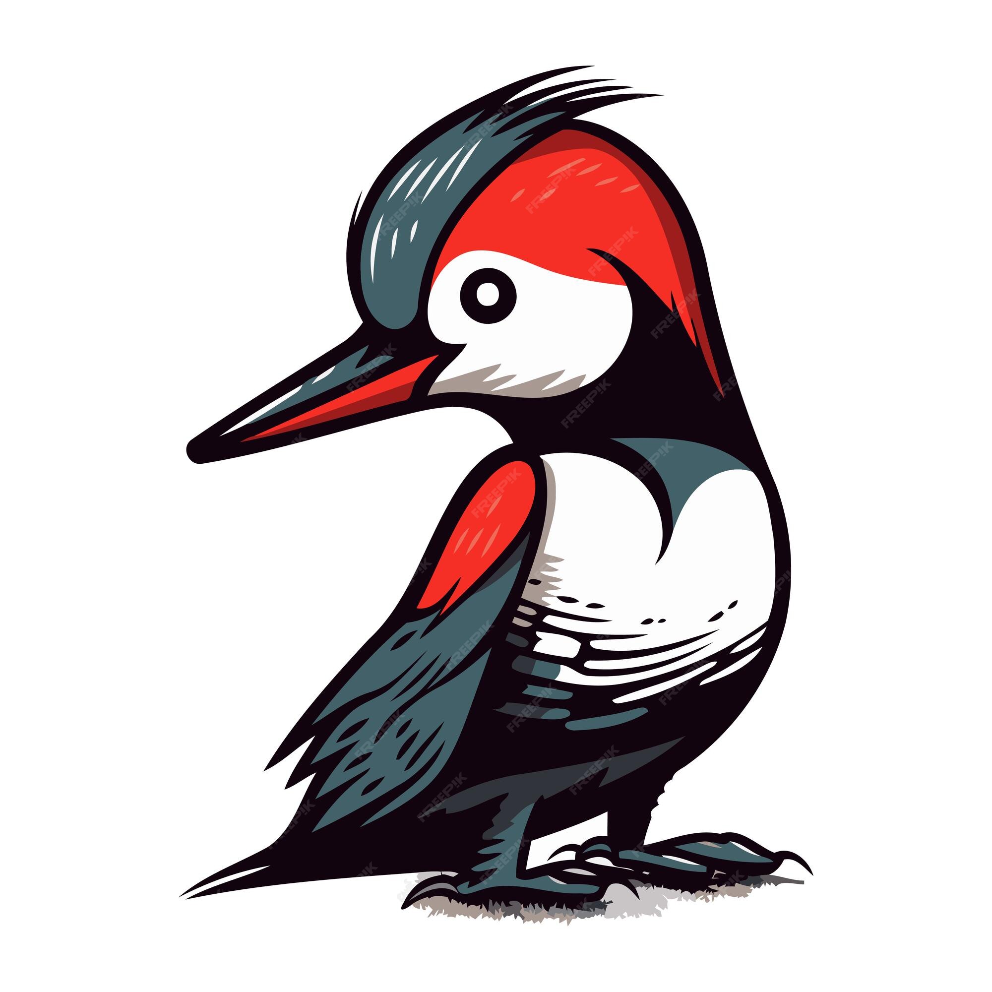 Premium Vector | Woodpecker hand drawn vector illustration isolated on ...