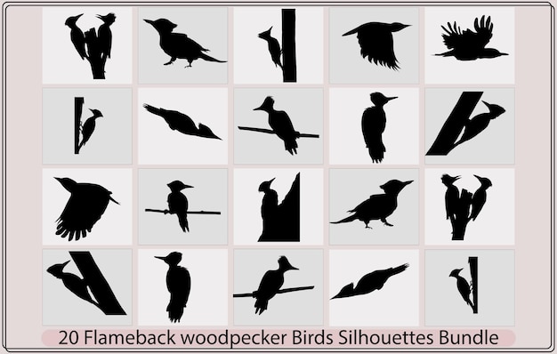 Vector woodpecker vector icongreater flameback woodpecker perching on treea vector illustration of a comm