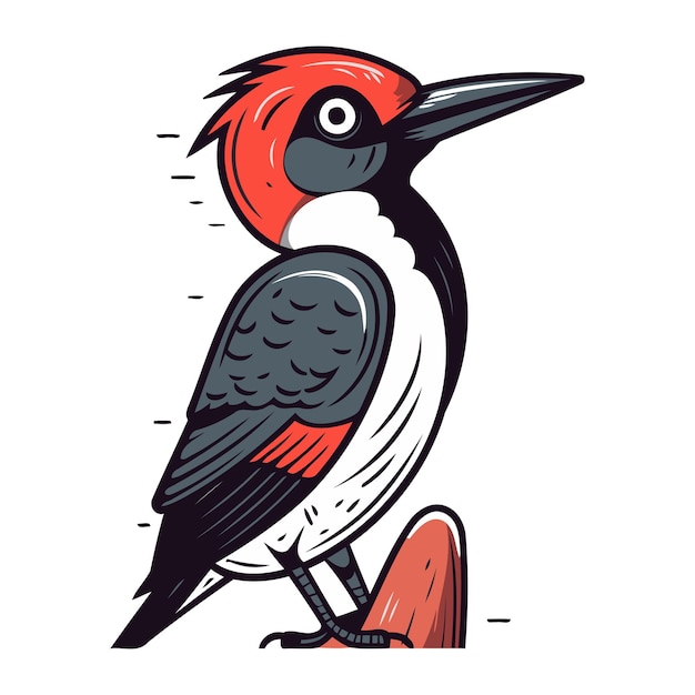 Vector woodpecker vector illustration of a bird on a white background