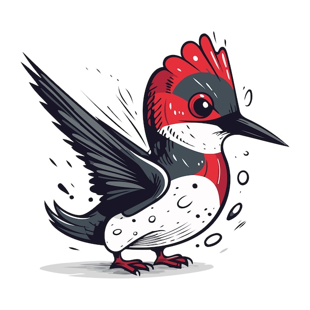 Vector woodpecker vector illustration hand drawn doodle sketch style