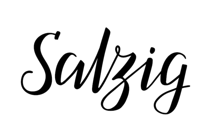 Вектор слово salzig, что означает "соленый" на немецком языке, каллиграфия кистью, черный изолированный текст, рукописные буквы.
