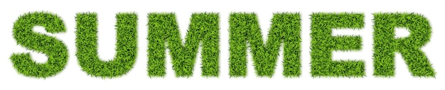 Vector word summer made of green grass, astroturf lettering