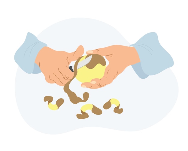 The work of a cook in the kitchen Illustration of hands peeling potatoes Food illustration vector