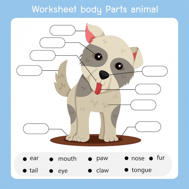 Рабочий лист частей тела собака животное