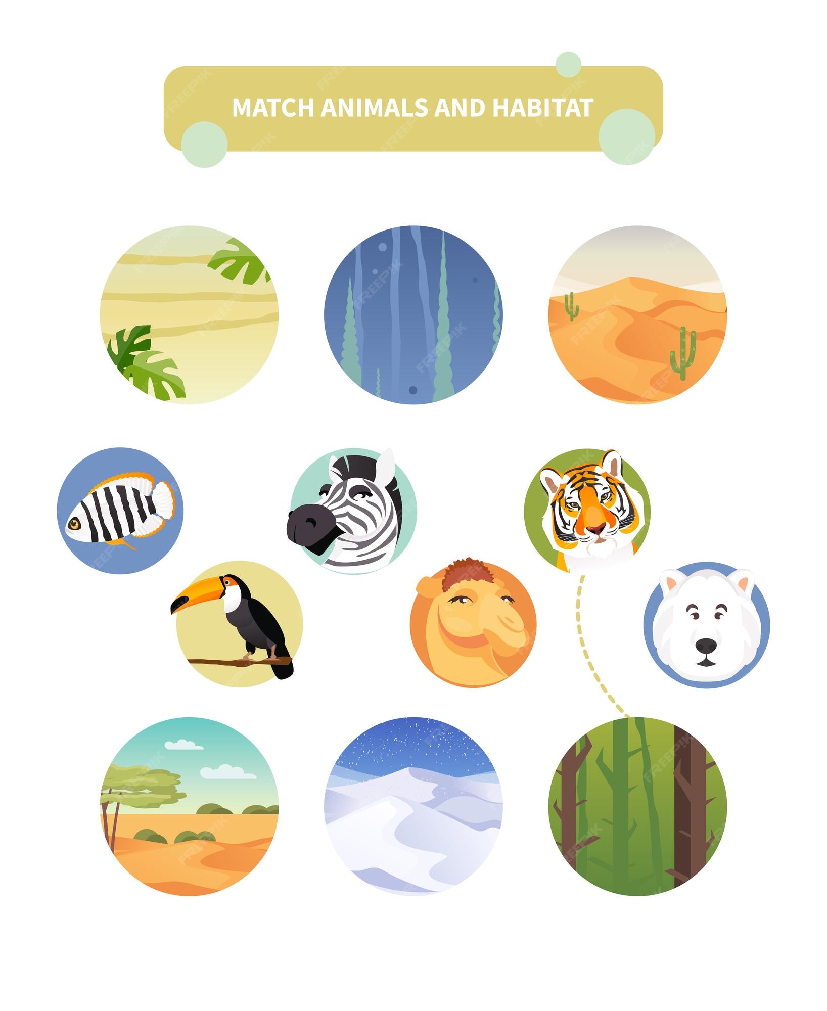 Premium Vector | Worksheet with match kids educational game match animals  and habitat