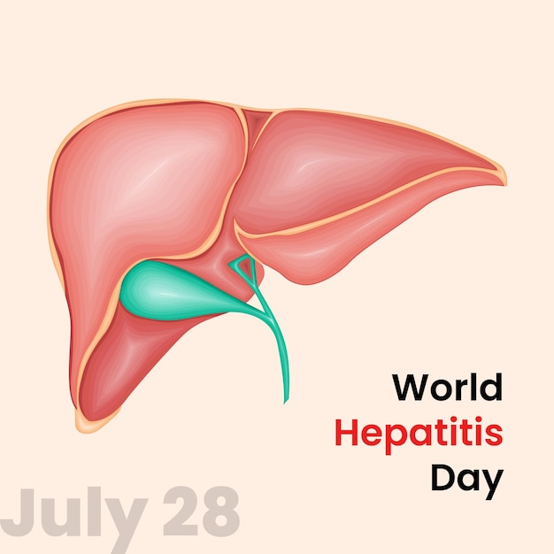 Vector world hepatitis day july 28