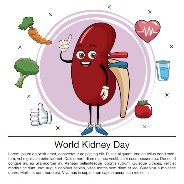 World kidney day infographic cartoon