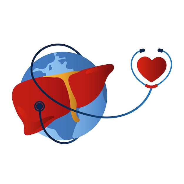 World Liver Day and Hepatitis Day Sthethoscope Wrapped Around Globe And Liver