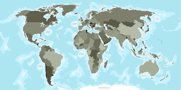 Vector the world map divided by countries