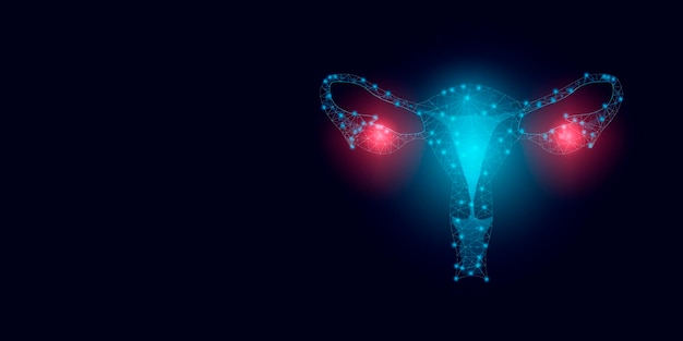 World ovarian cancer awareness day concept Banner template with text and glowing low poly uterus and ovarian Modern abstract dark background Vector illustration