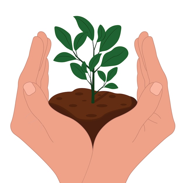 Vector world soil day is held annually on december 5 a hand holds a green plant