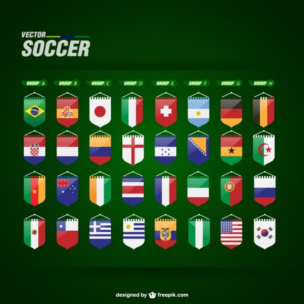 Vector world team flags