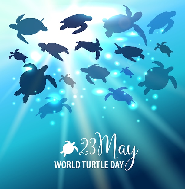 Sfondo di world turtle day 23 maggio