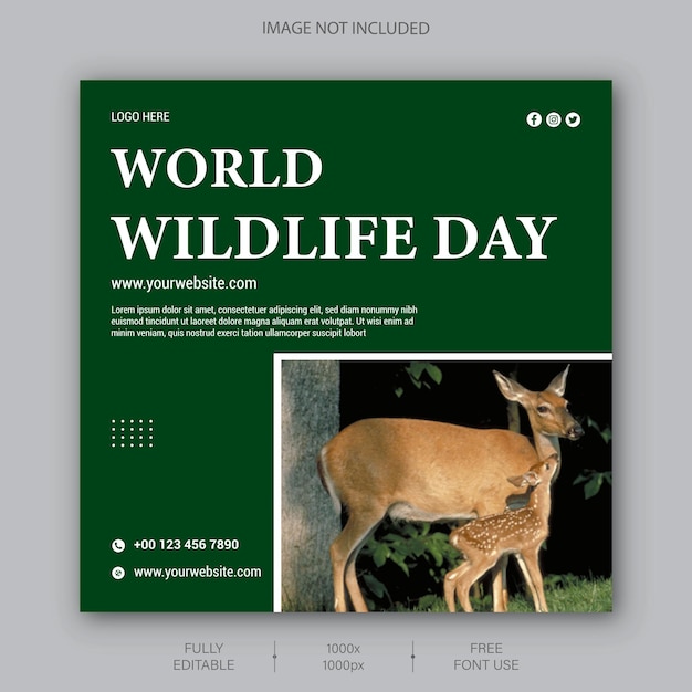 World Wildlife Day дизайн постов в социальных сетях или шаблон баннера для постов в Instagram