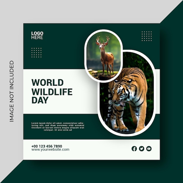 Vettore modello di progettazione di post sui social media per la giornata mondiale della fauna selvatica