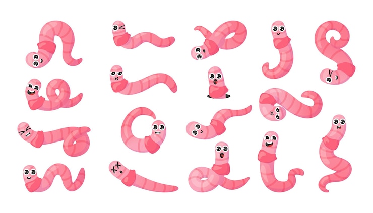 Vector worm character cartoon earthworm mascot with big eyes and cute faces insects for kids illustration fishing bait funny soil crawlers with various emotion expressions vector isolated pink bugs set