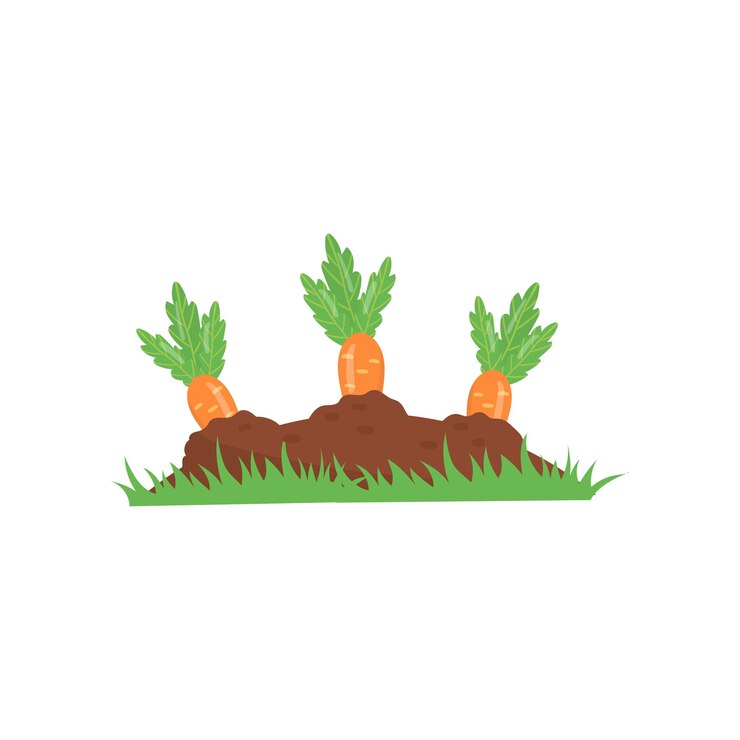 Vector wortel groeit uit de grond groente op tuinbed biologische en gezonde voeding agronomisch product concept van landbouw of tuinieren kleurrijke platte vector icon